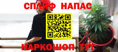 шишки Пугачёв