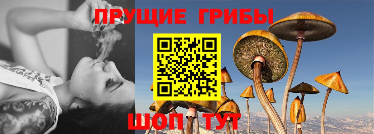 Псилоцибиновые грибы MAGIC MUSHROOMS  Галлюциногенные грибы MAGIC MUSHROOMS  Вход с VPN  Дальнереченск 